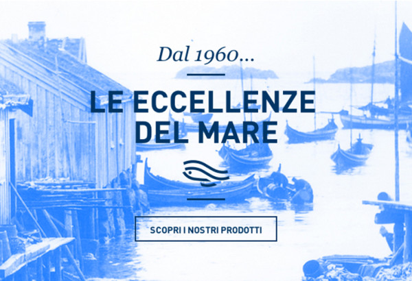 Online nuovo sito Taglipietra
